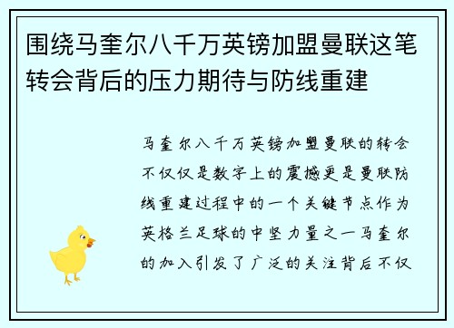 围绕马奎尔八千万英镑加盟曼联这笔转会背后的压力期待与防线重建