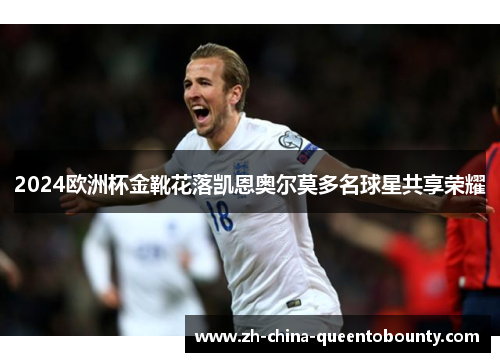 2024欧洲杯金靴花落凯恩奥尔莫多名球星共享荣耀